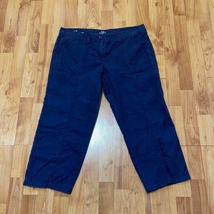 Ann Taylor LOFT original capris - size 12